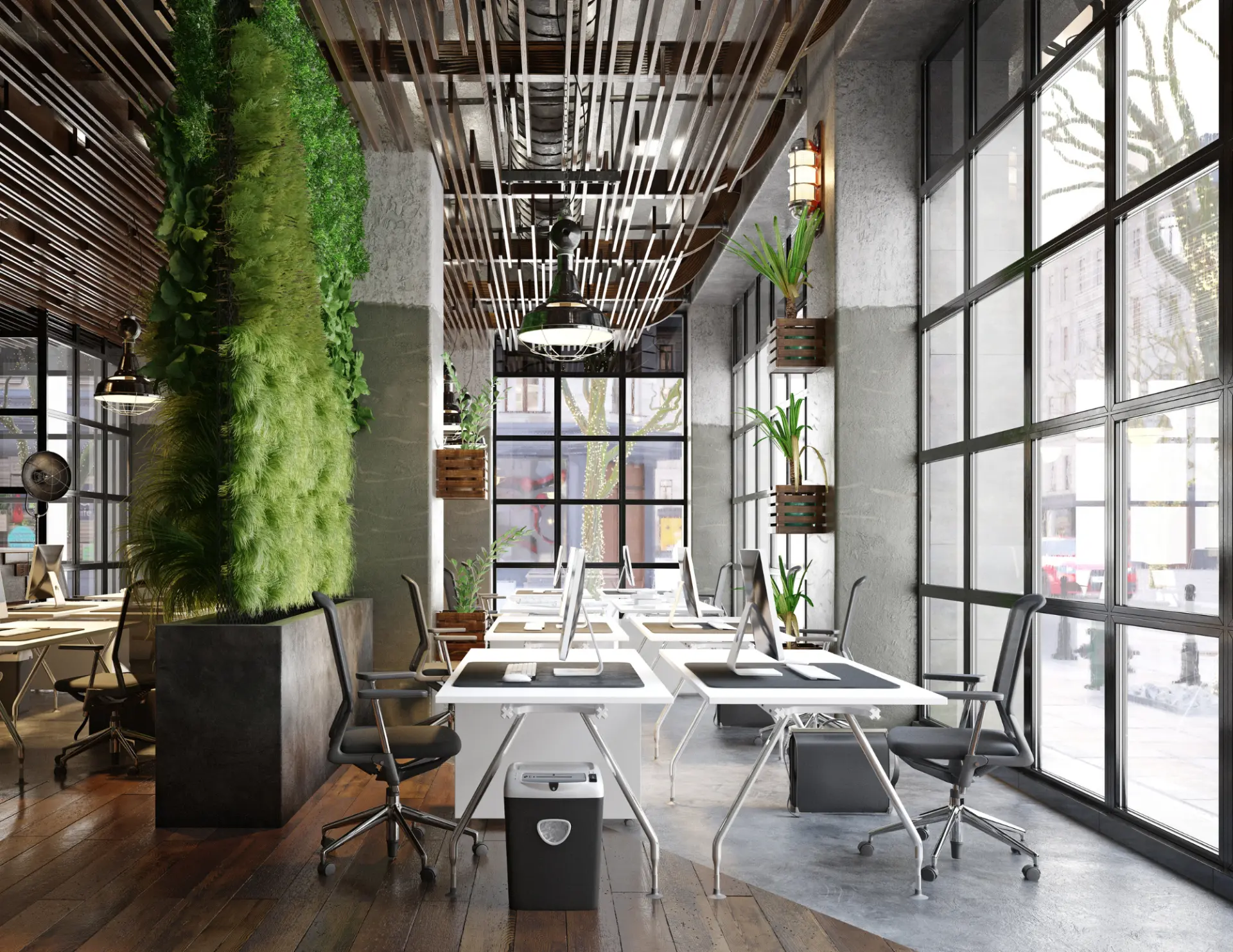 A calm, modern studio space with natural light and greenery