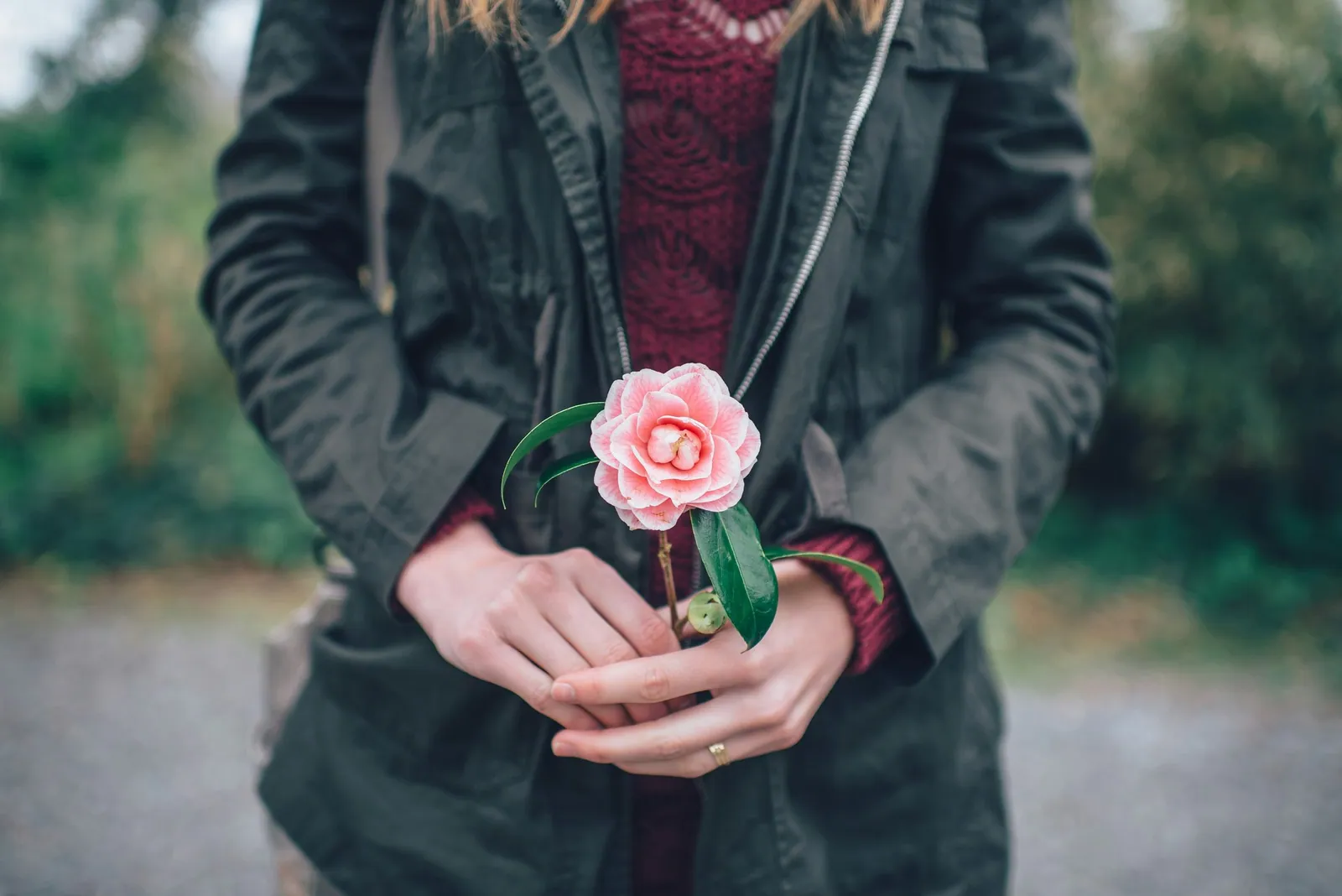 A child holding out a single pink flower in cupped hands