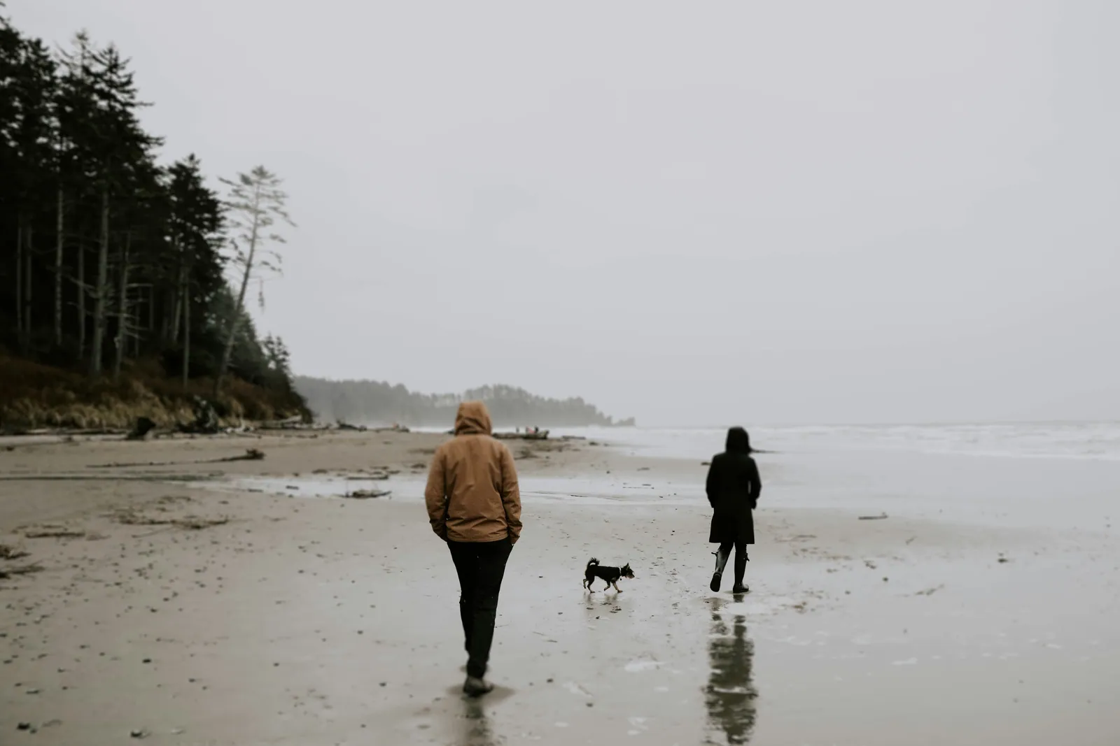 A parent and teenager walking a dog along a wide, empty beach in soft grey light