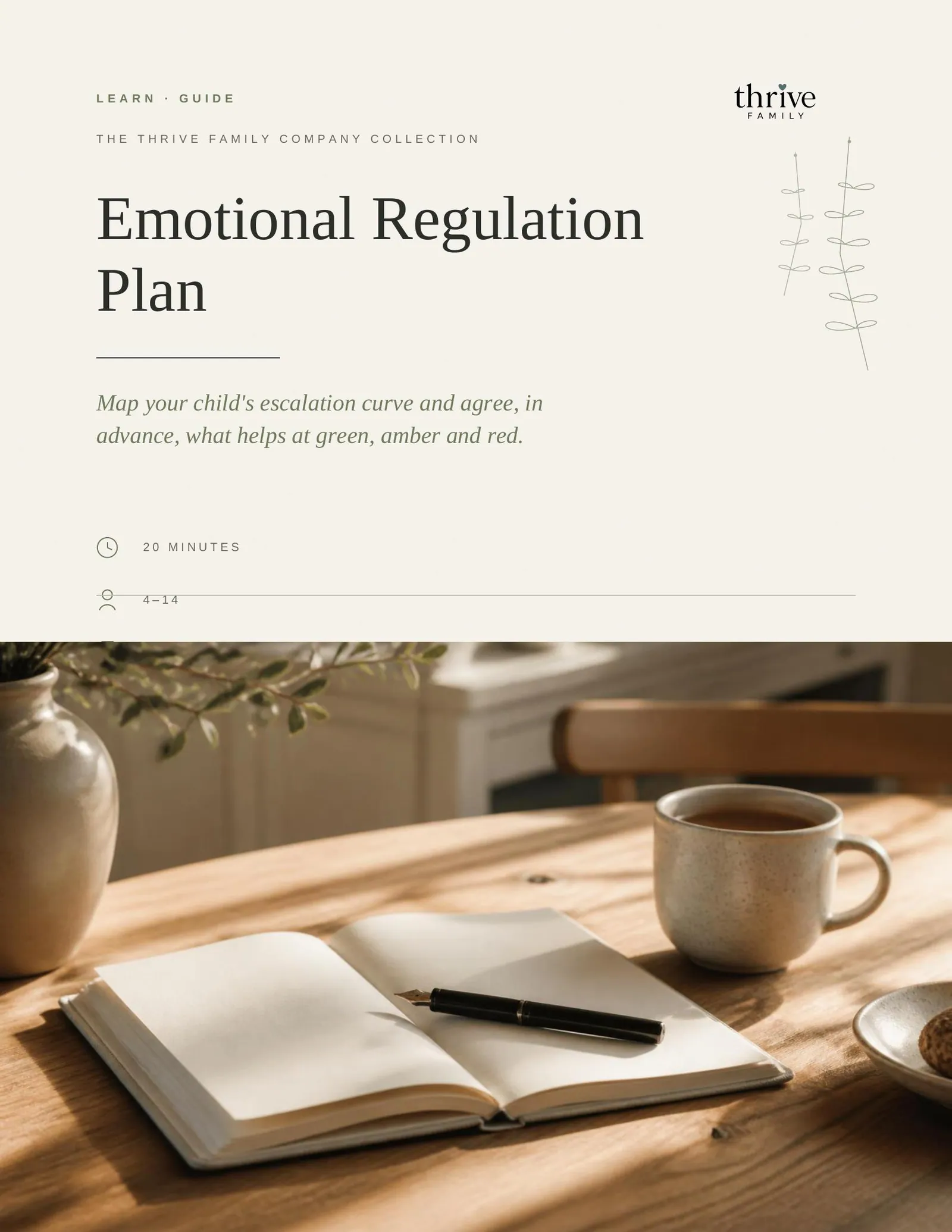 Cover of the printed guide: Emotional Regulation Plan