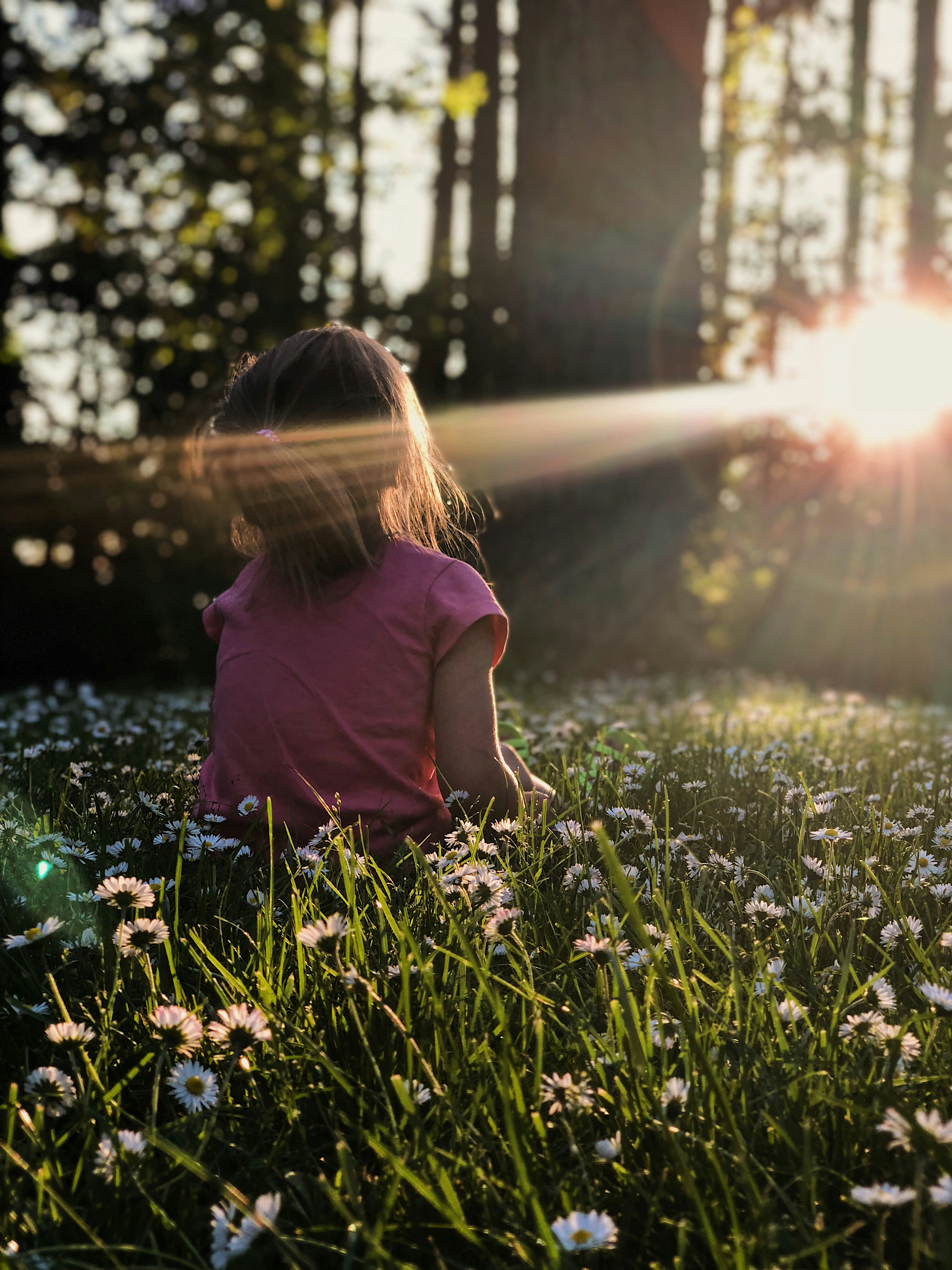 A child sitting alone in a meadow of long grass and daisies at golden hour