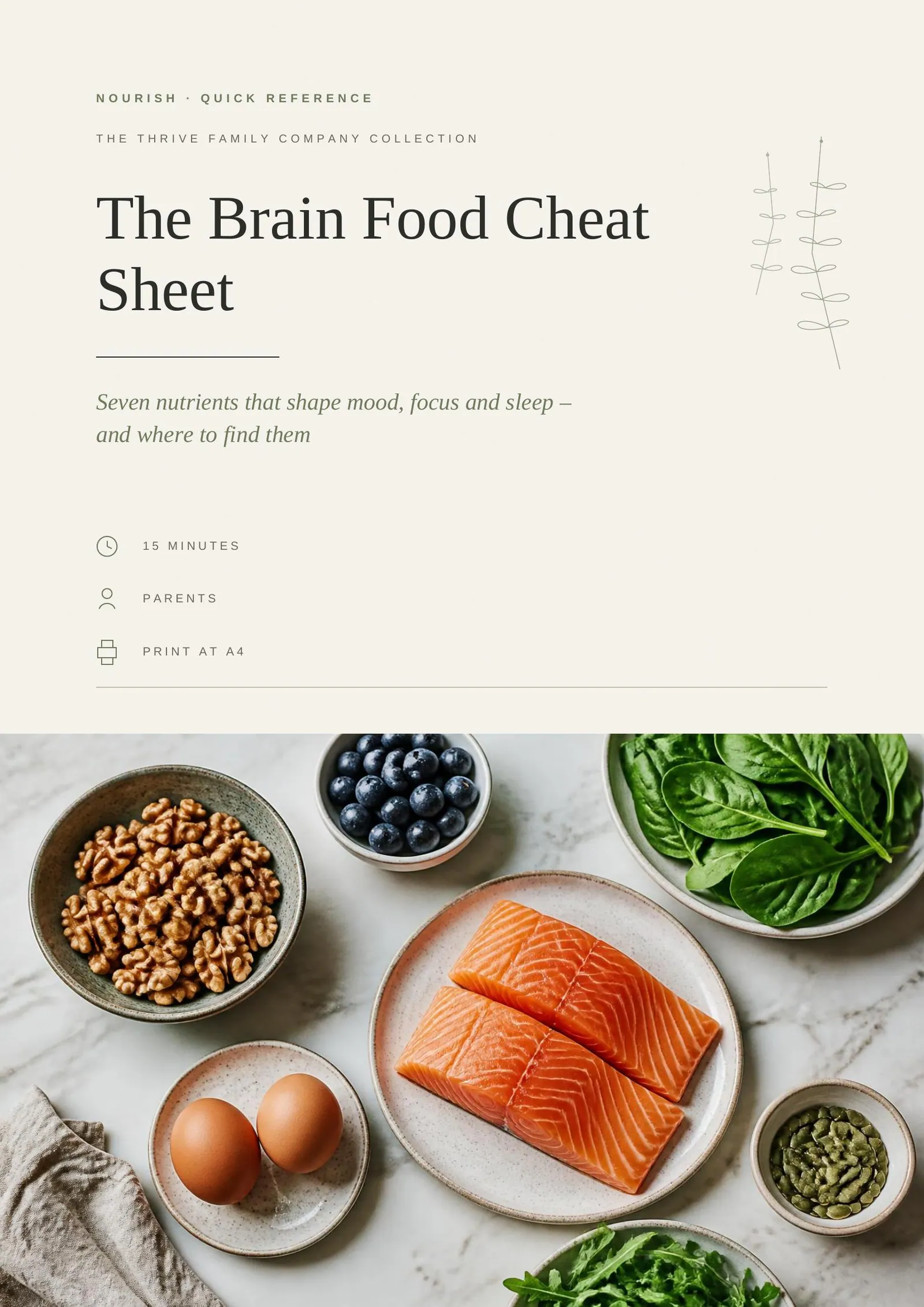 Cover of the printed guide: The Brain Food Cheat Sheet