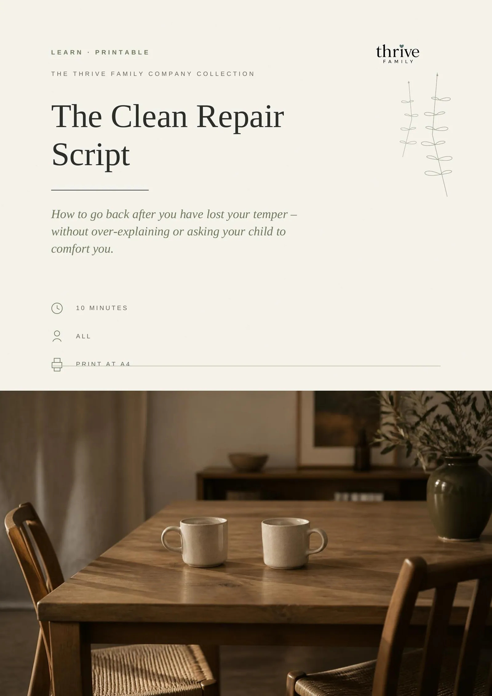 Cover of the printed printable: The Clean Repair Script