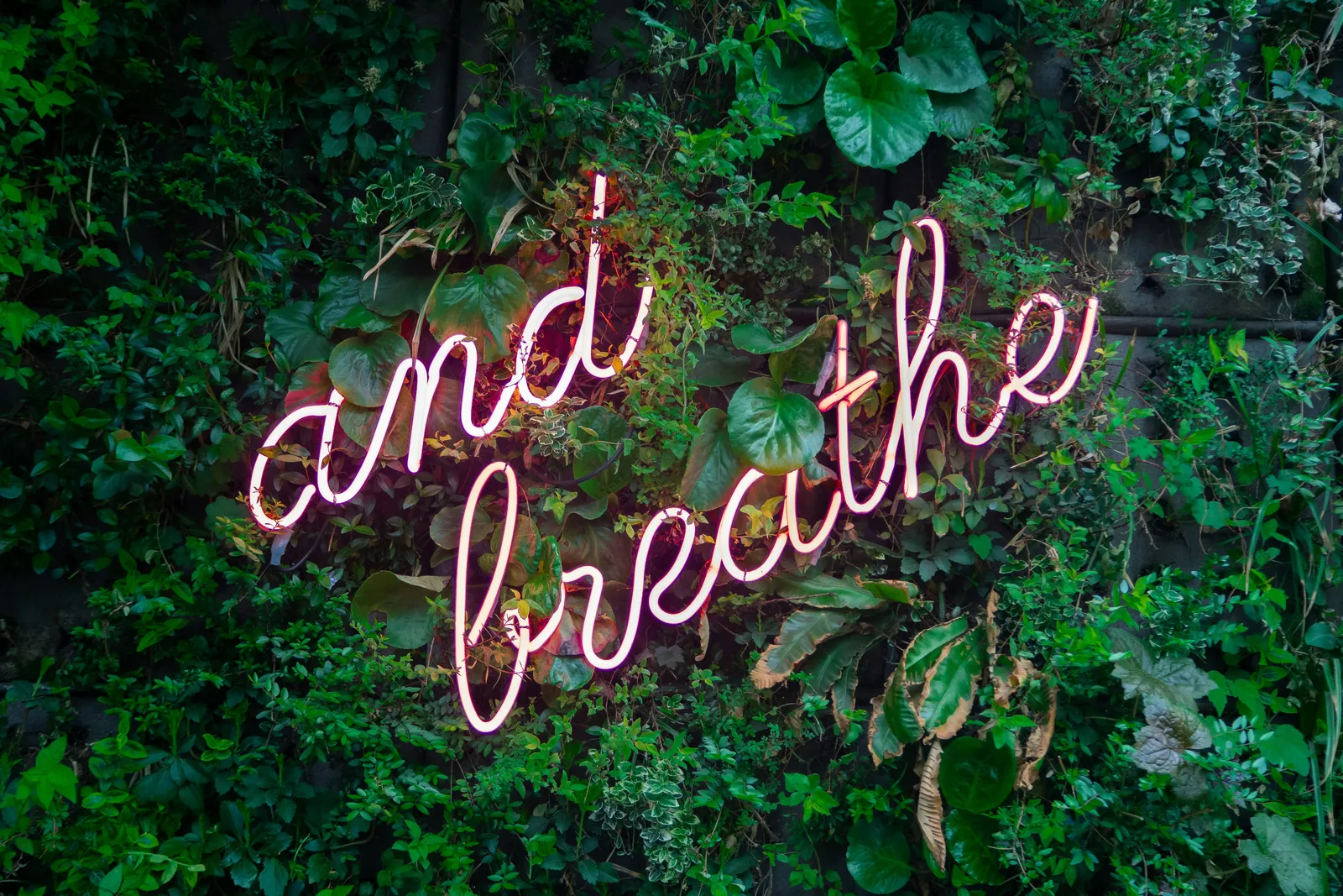 A neon sign reading and breathe set into a wall of green leaves