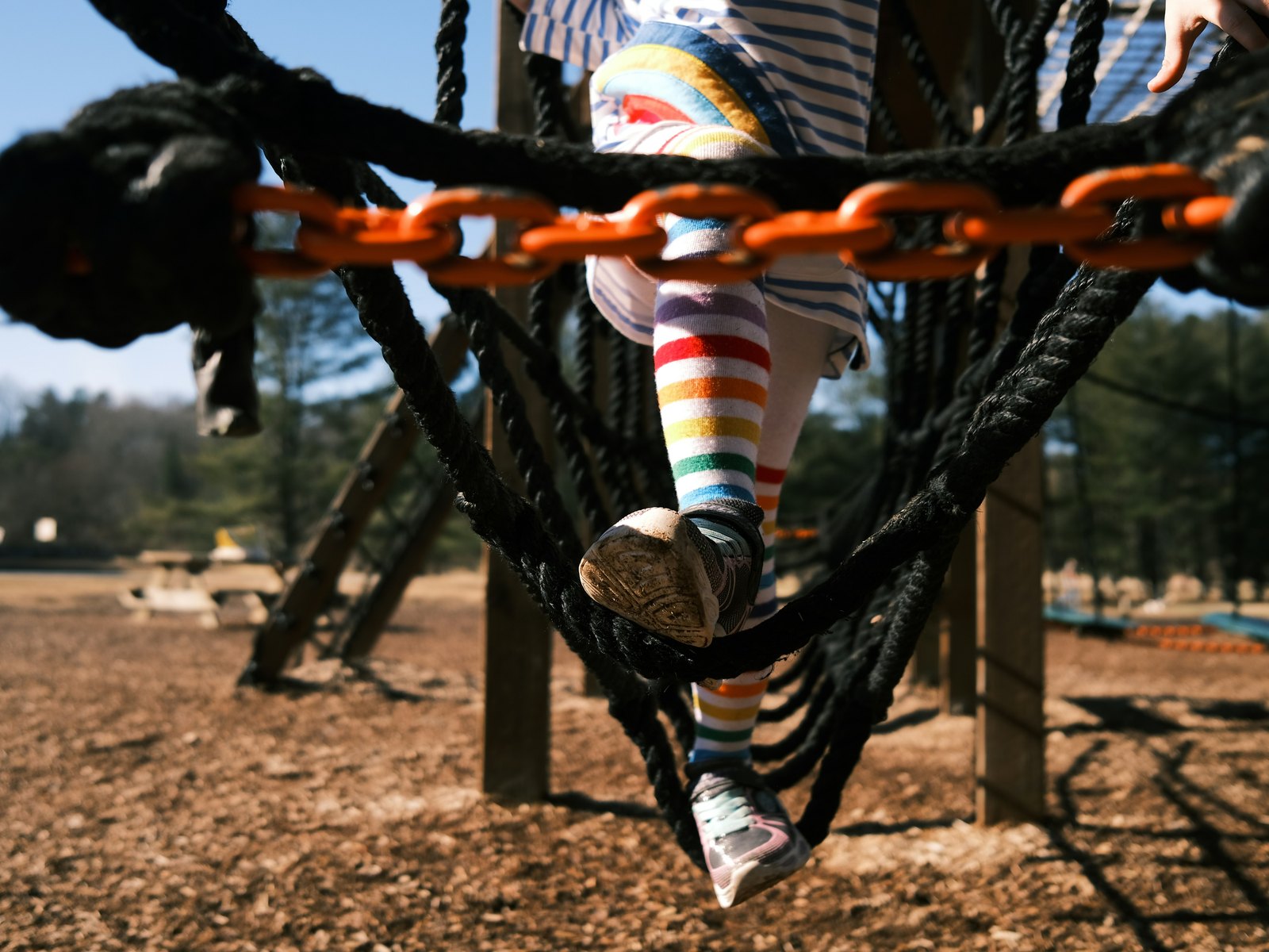 Sensory Processing Strategies — a Thrive course in the Neurodiversity pathway