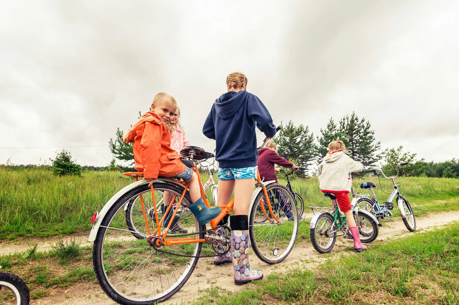 Family Wellness Foundations